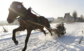 Tradicinės žirgų traukiamų vežimų lenktynės Zakopanėje