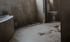Pavie&scaron;intos Oscaro Pistoriuso vonios kambario, kuriame buvo nužudyta Reeva Steenkamp, nuotraukos