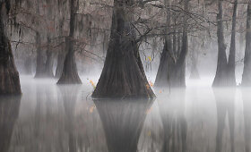 Dvyliktą kartą rengiamų &bdquo;EPSON International Pano Awards&ldquo; nuotraukos nugalėtojos