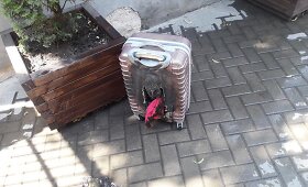 Tarnybų sujudimas dėl sprogimo Sodų gatvėje Vilniuje