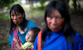 I&scaron; Peru džiunglių i&scaron;stumti a&scaron;aninkai kenčia nuo maisto trūkumo
