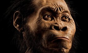 PAR urve rasta dar nežinomos žmonių rū&scaron;ies liekanų