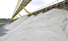 &bdquo;Grinda&ldquo; ruo&scaron;iasi žiemai &ndash; kaupia druskos atsargas