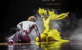 &bdquo;Cirque du Soleil&ldquo; pasirodymų akimirkos