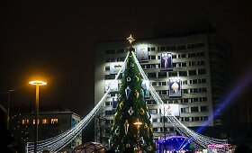 Panevėžio Kalėdų eglė