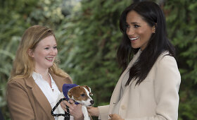 Meghan Markle vizitas gyvūnų prieglaudoje