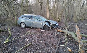 Panevėžyje girta &bdquo;Audi&ldquo; vairuotoja įlėkė į mi&scaron;ką