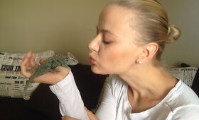 Mariaus ir Renatos chameleonas Salvadoras