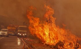 Pietų Afrikos Respublikoje įsisiautėjo krūmynų gaisrai