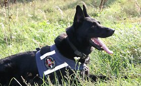 Pasieniečių mokymai virto sulaikymo operacija