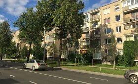 Antakalnio gyventojai stebisi: kas taip sodina medžius?