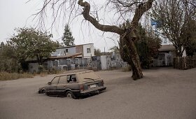 Kalbuko ugnikalnis apylinkes užklojo vulkaniniais pelenais