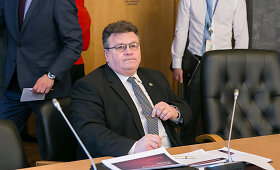 Saulius Skvernelis dalyvavo diskusijoje dėl santykių su Rytų kaimynais