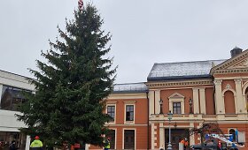Į Klaipėdos Teatro aik&scaron;tę atgabenta eglė