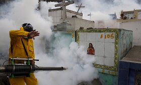 Darbininkai dezinfekuoja aplinką nuo Zika virusą perne&scaron;ančių uodų