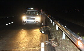 Kupi&scaron;kio rajone autobusas susidūrė su &scaron;ernų banda