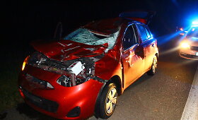 Panevėžio rajone &bdquo;Nissan&ldquo; susidūrė su briedžiu