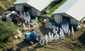 Japonijoje dėl pauk&scaron;čių gripo protrūkio nurodyta paskersti paskersti daugiau kaip 110 tūkst. vi&scaron;tų