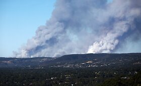 Australijoje per krūmynų gaisrus sudegę mažiausiai 26 namai