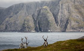 Nordkapas &ndash; &Scaron;iauriausia Europos vieta vadinamas ta&scaron;kas