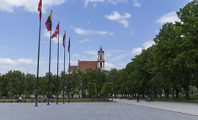 Luki&scaron;kių aik&scaron;tė