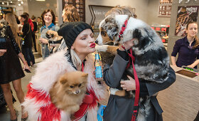 &bdquo;Me & My Dog&ldquo; renginyje &ndash; garsenybės su savo augintiniais