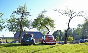 Didysis &bdquo;vabalų&ldquo; sąskrydis 2015