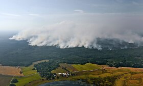 &Scaron;vedijoje įsisiautėjo mi&scaron;kų gaisrai