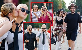 Pitbull gerbėjai renkasi į koncertą Kaune