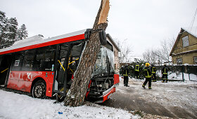 Kaune autobusas rėžėsi į medį
