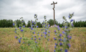 Kryžių Vilniaus Balsiuose liepta nukelti