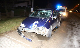 Panevėžyje &bdquo;Renault&ldquo; nu&scaron;lavė kelio ženklus
