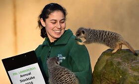 Kasmetinis gyvūnų sura&scaron;ymas Londono zoologijos sode