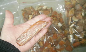 Muitinėje sulaikyti 4 kg gintaro