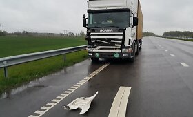 Greitkelyje sunkvežimis mirtinai partrenkė briedį