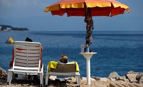 Kroatijoje įkurtas specialus paplūdimys poilsiautojams su &scaron;unimis