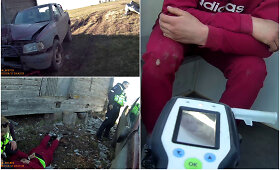 Į medį rėžėsi automobilis, pilnas girtų jaunuolių
