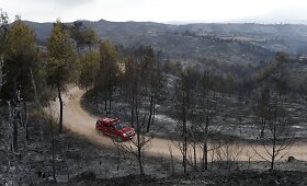 Katalonijoje mi&scaron;kų gaisrai sunaikino augaliją 1200 ha plote