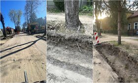 Vykdant J.Mateikos g. Kaune remonto darbus, manoma, buvo pažeisti medžiai