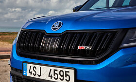 Sporti&scaron;kas &bdquo;&Scaron;koda Kodiaq RS&ldquo;
