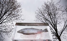 Mindaugas Tendziagolskis atidengė ledo skulptūrą la&scaron;i&scaron;ai