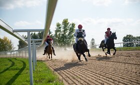 Raseinių hipodromas kviečia į žirgų lenktynes