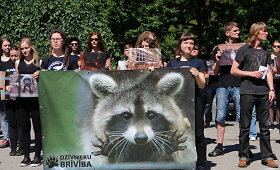 Taline įvyko didžiausia Baltijos &scaron;alyse demonstracija prie&scaron; kailinių žvėrelių fermas