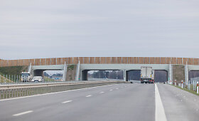 Žvėrių tiltas vir&scaron; automagistralės A5