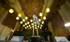 &bdquo;Sidabrinė gervė&ldquo; paskelbė 2016 metų nominantus