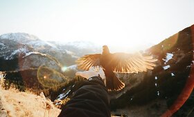 Svajinga fotografo kelionė per Vokietiją, &Scaron;veicariją ir Kroatiją