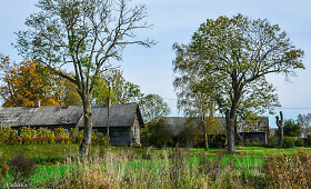 Žybartų kaimas (Radvili&scaron;kio r.)