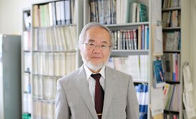 Už autofagijos mechanizmų atradimus Nobelio Medicinos premija skirta Yoshinori Ohsumi
