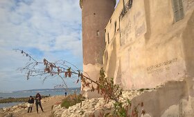 Sausis Romoje: 20 laipsnių &scaron;ilumos ir žydinčios mimozos
