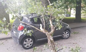 Ant vilnietės automobilio užvirto medis
